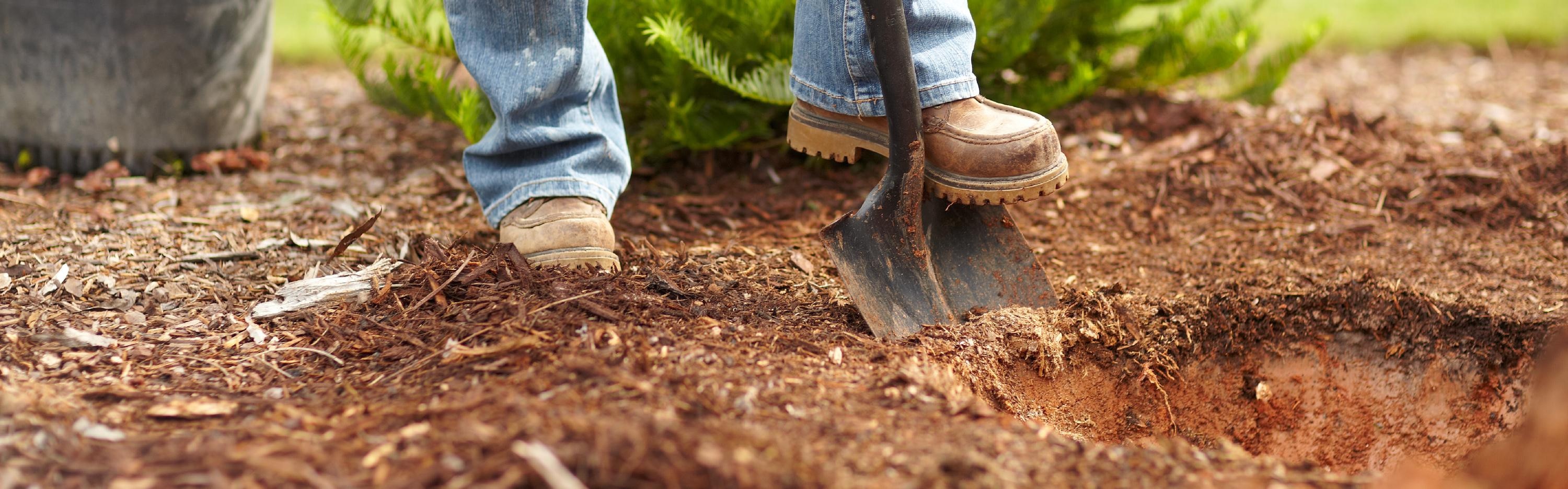 Garden Center at The Centerline Home Depot Knoxville, TN 37917